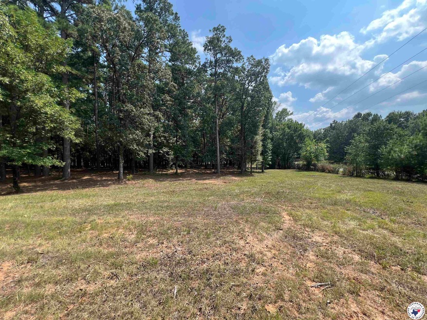 0 Cr 3201 & Cr 3203 unit 117264, Dekalb, TX 75559 - photo 1