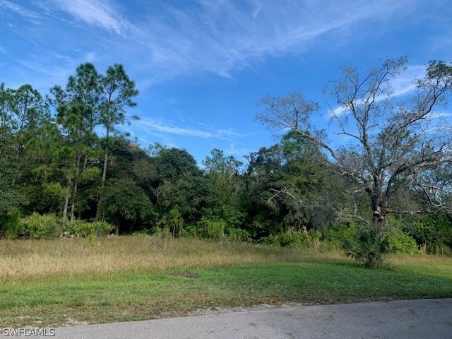 19501 Witts End, Alva, FL 33920 - photo 1