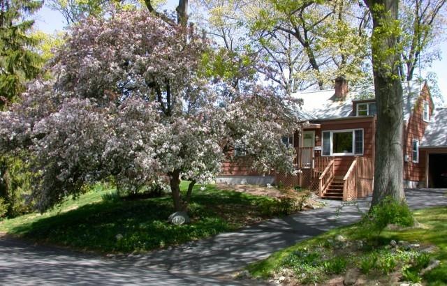 172 Dannell Dr, Stamford, CT 06905 - photo 1