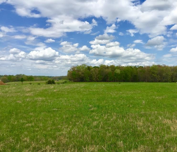 0 W West Netherland Road Rd unit 1001262, Cookeville, TN 38506 - photo 1