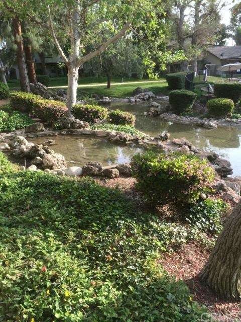 view from your private but open back patio