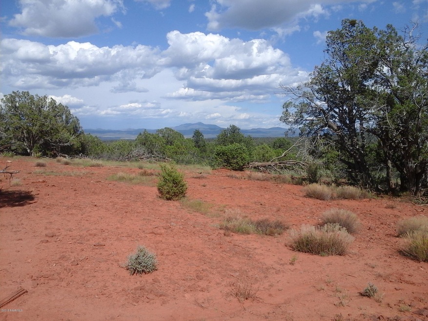 Lot 160 Juniperwood Ranch, Ash Fork, AZ 86320 - photo 1