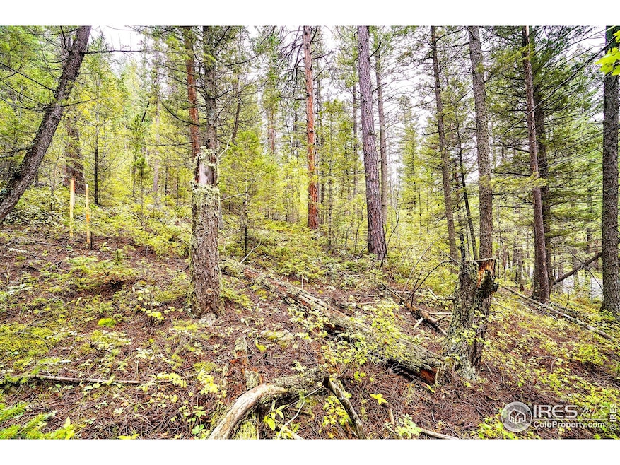 10862 Twin Spruce Rd, Coal Creek Canyon, CO 80403 - photo 1