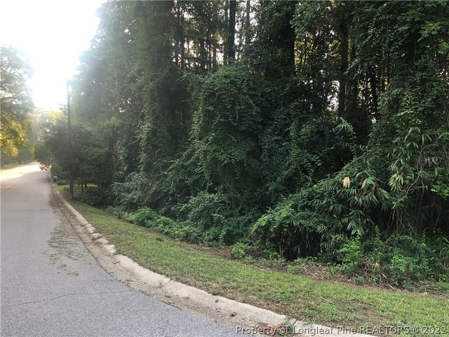 151 S Churchill Dr, Fayetteville, NC 28303 - photo 1