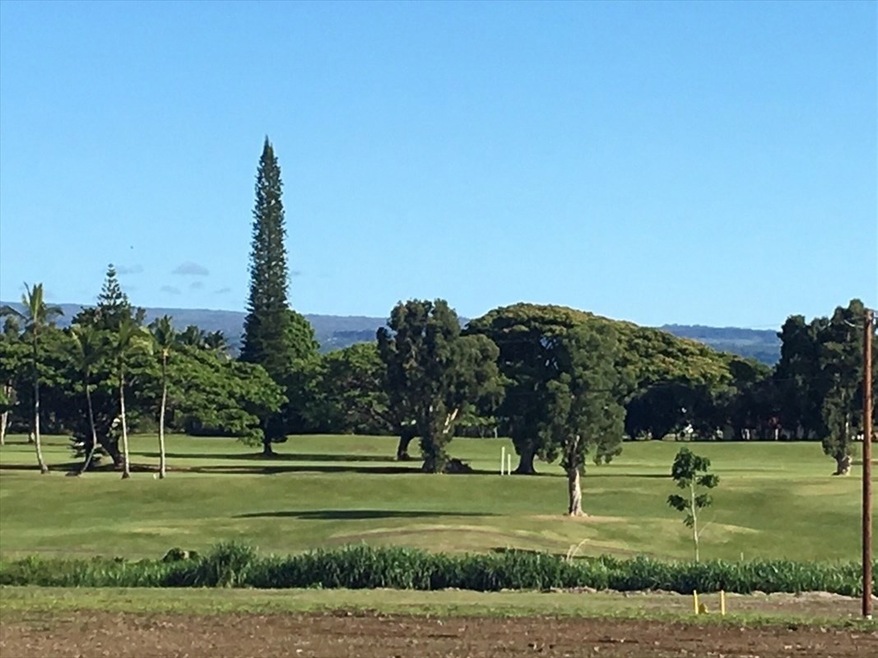 4048 Hiluhilu Place, Hilo, HI 96720 - photo 1