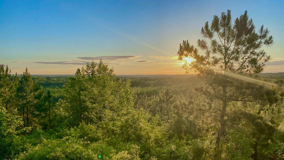 Longleaf Hill Land for Sale in SC-01