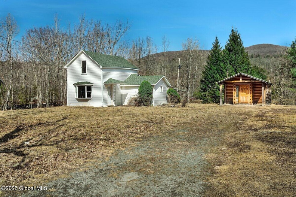 58 Maple Ave, Hunter, NY 12442 - photo 1