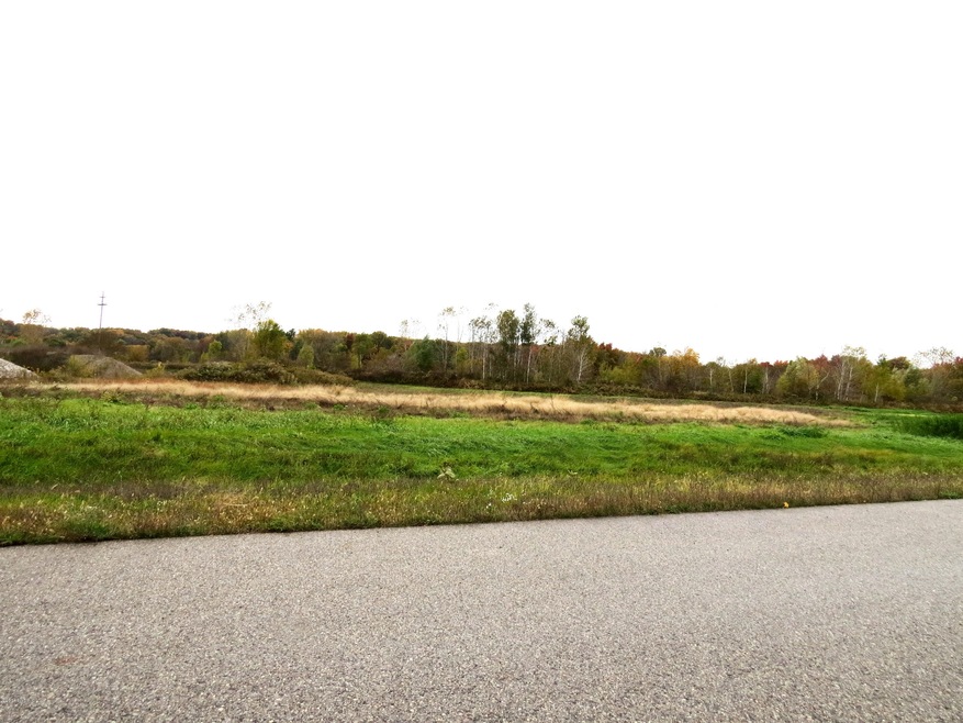 860 O E Bieri Industrial Dr, Lowell, MI 49331 - photo 1