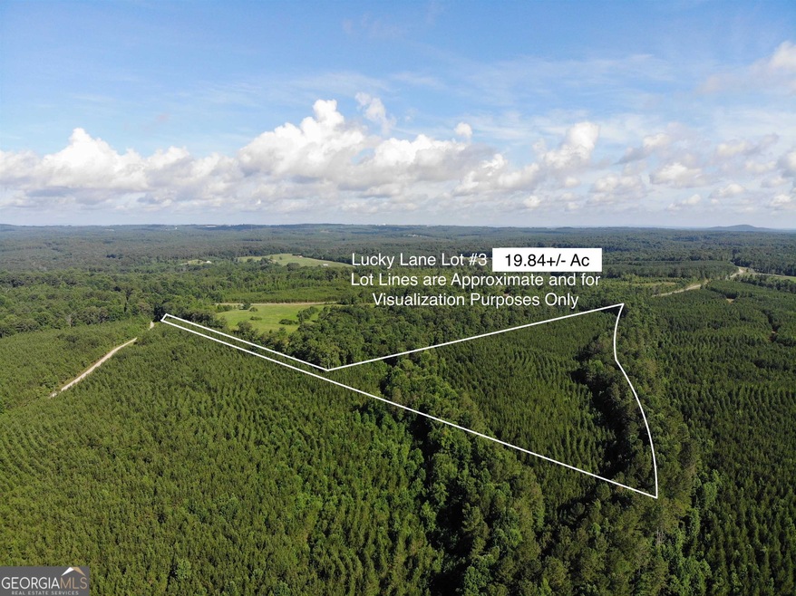 0 TRACT 3 Lucky Ln, Bowdon, GA 30108 - photo 1