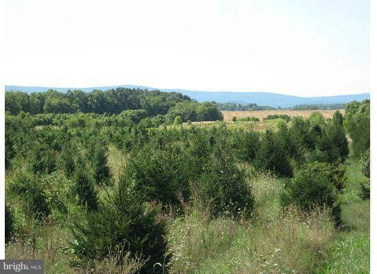 0 Not On File unit 1003856244, Berryville, VA 22611 - photo 1