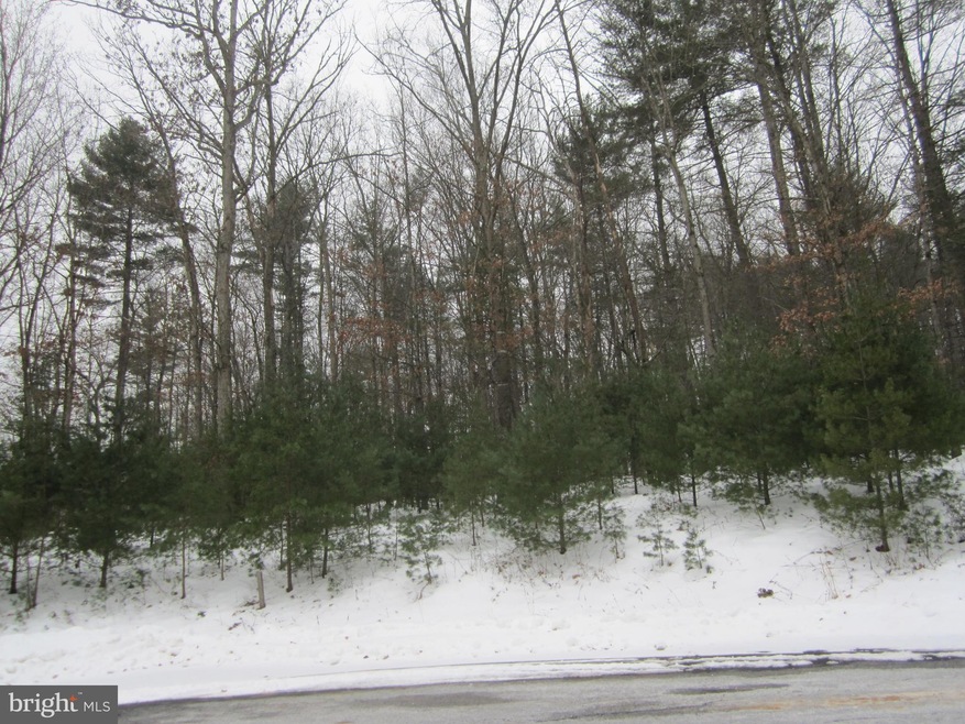 0 Red Tail Ct, Basye, VA 22810 - photo 1