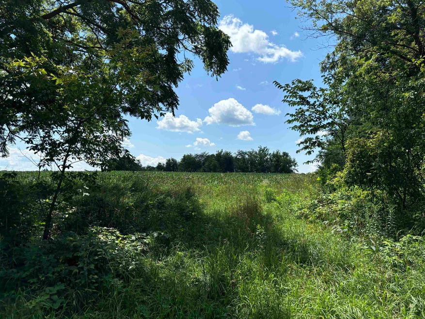 W1495 King Rd, Brooklyn, WI 53521 - photo 1