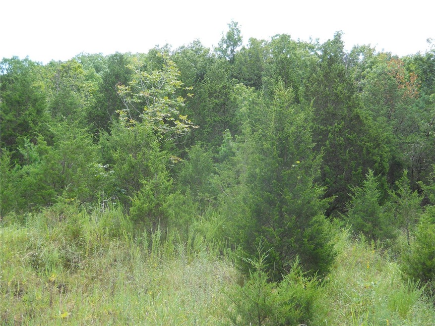 1 Bridle Trail Dr, Robertsville, MO 63072 - photo 1