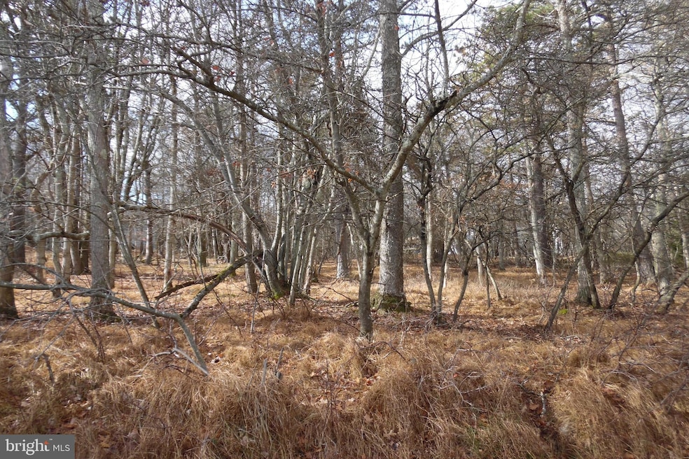 Lot D1922 N Old Stage Rd, Albrightsville, PA 18210 - photo 1