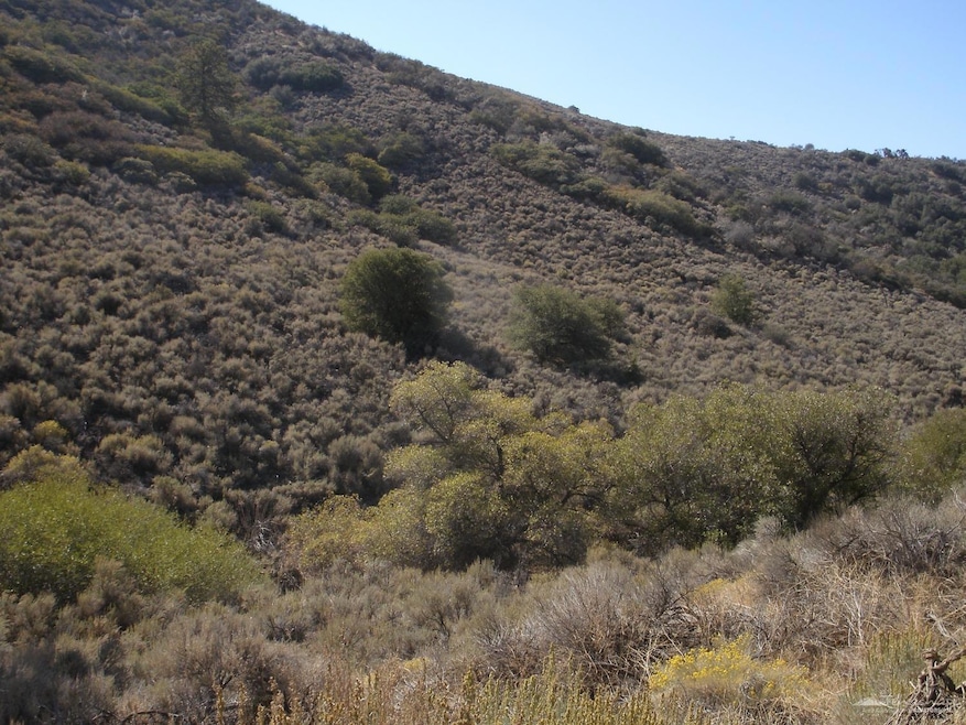 17691 Mountain Climber Way, Tehachapi, CA 93561 - photo 1