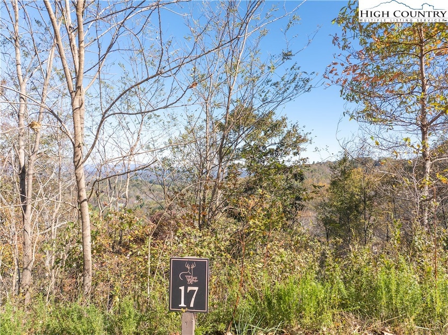 17 Antler Trail, Boone, NC 28607 - photo 1