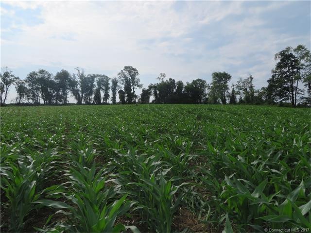 0 Prospect St unit G10081939, Woodstock, CT 06281 - photo 1