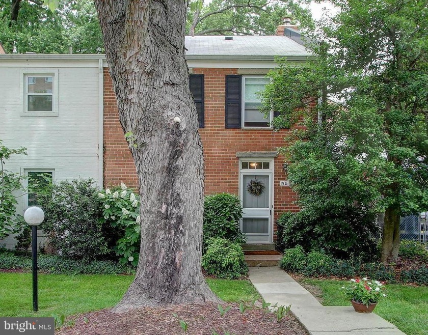 1901 Lyttonsville Rd, Silver Spring, MD 20910 - photo 1