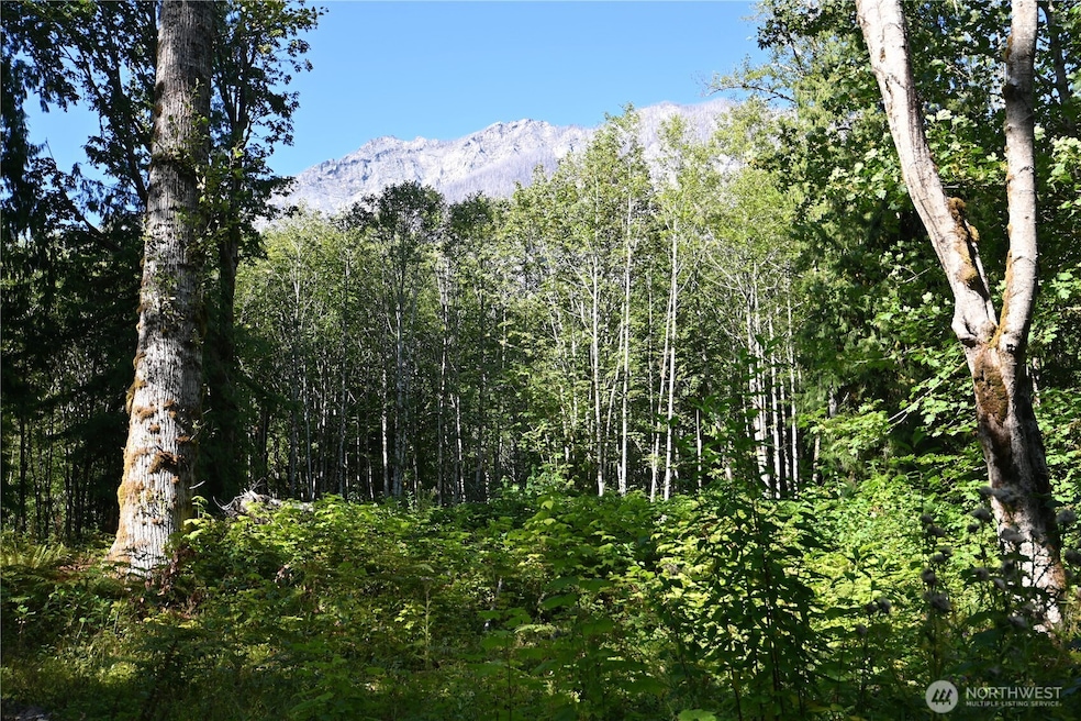 0 U S Highway 2, Baring, WA 98224 - photo 1