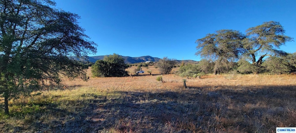Lot 3A Cattlemans Trail, Silver City, NM 88061 - photo 1