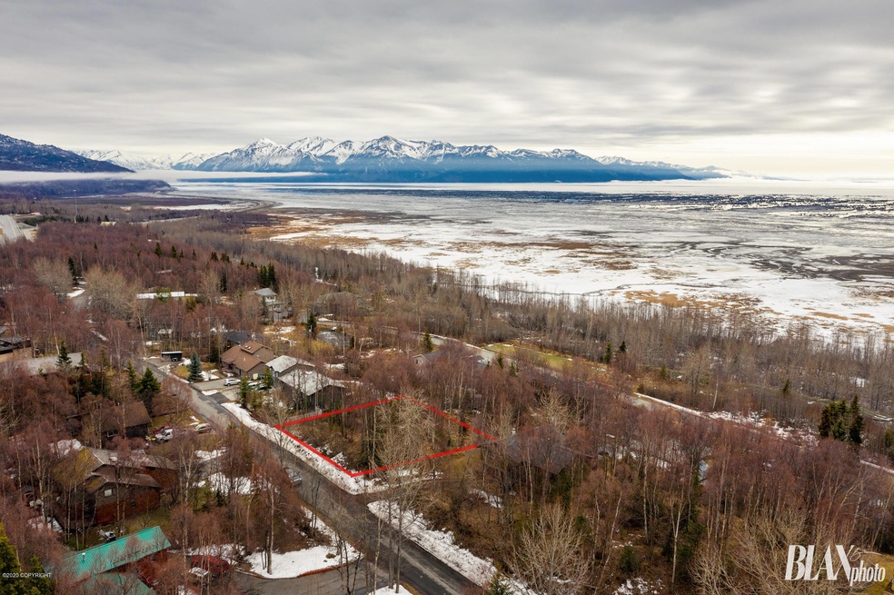 Aerial View w/inlet and mountains