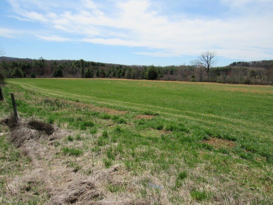Farm Land in Floyd VA (1)