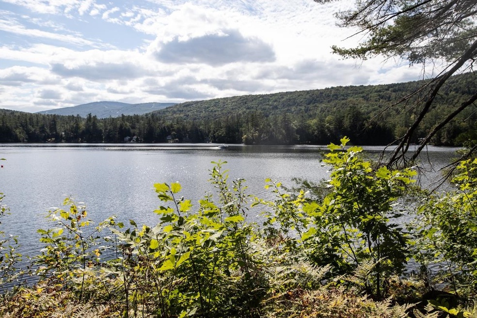 217 Ellisons Lake Rd, Ludlow, VT 05149 - photo 1