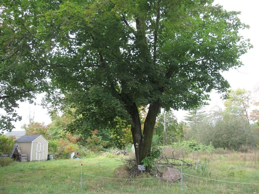 592 Leyden Rd, Greenfield, MA 01301 - photo 1