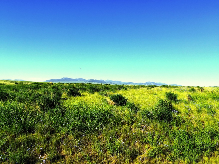 Land