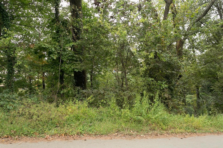 0 Druid Ln