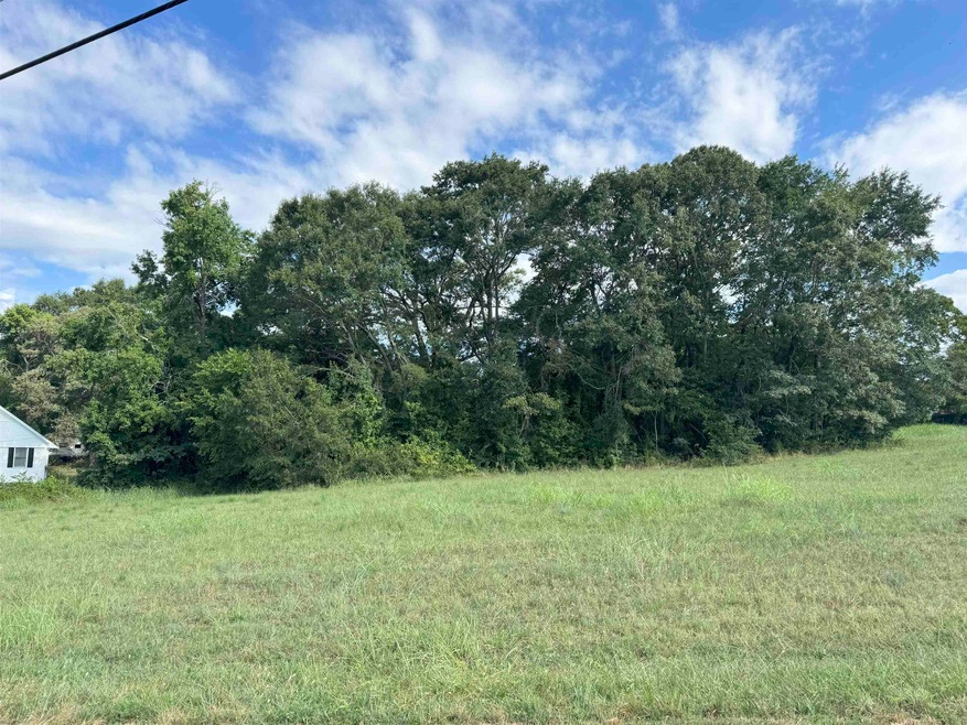 140 State Road S-42-7162, Greer, SC 29651 - photo 1