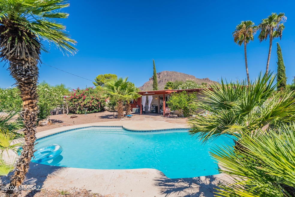 Backyard oasis
