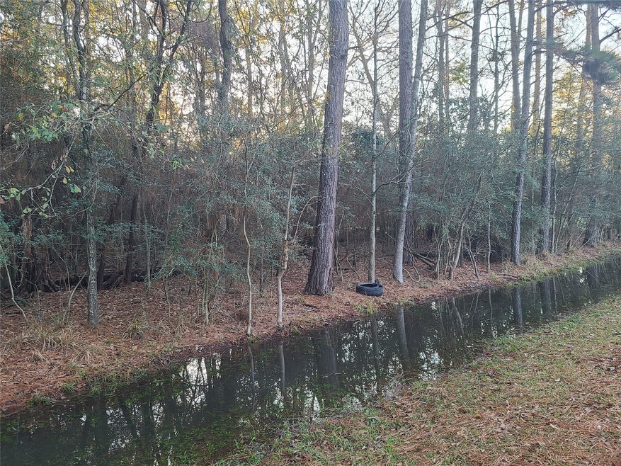 0 Weisinger unit 21165833, Magnolia, TX 77359 - photo 1