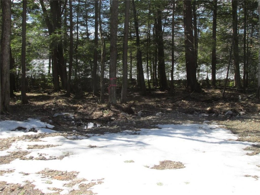 388 Wildwood Rd, Bridgton, ME 04009 - photo 1