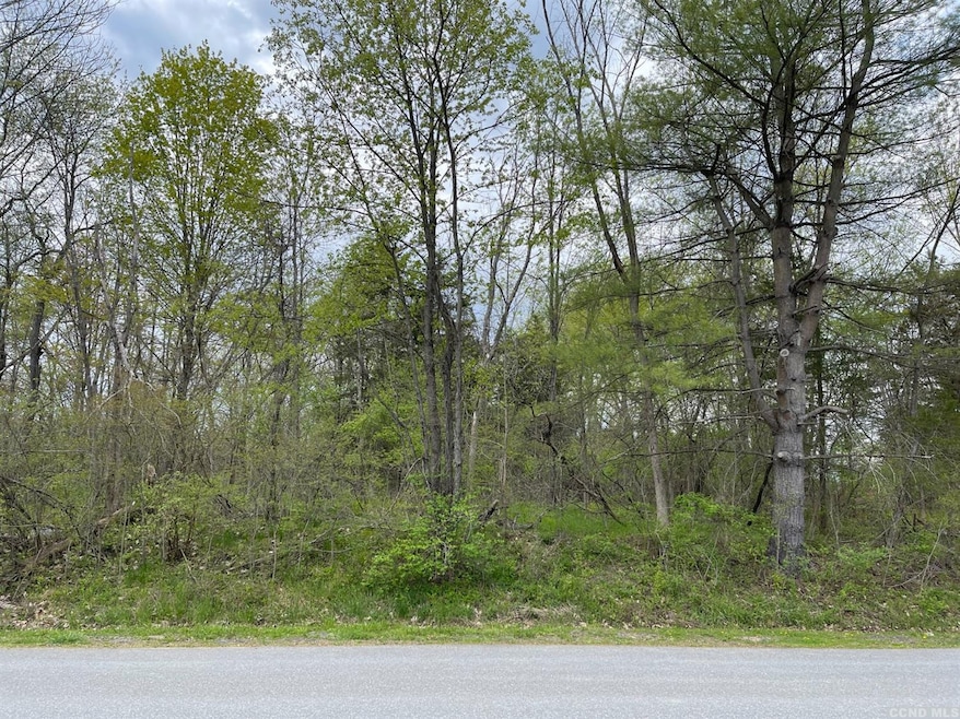 45 Randy Rd, Coxsackie, NY 12015 - photo 1