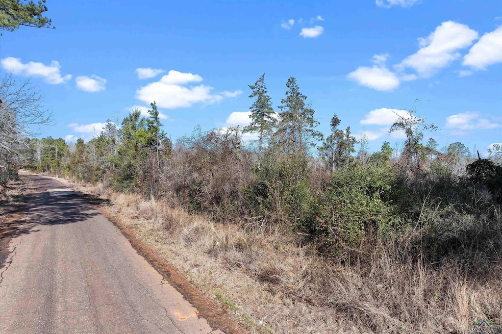 View of road