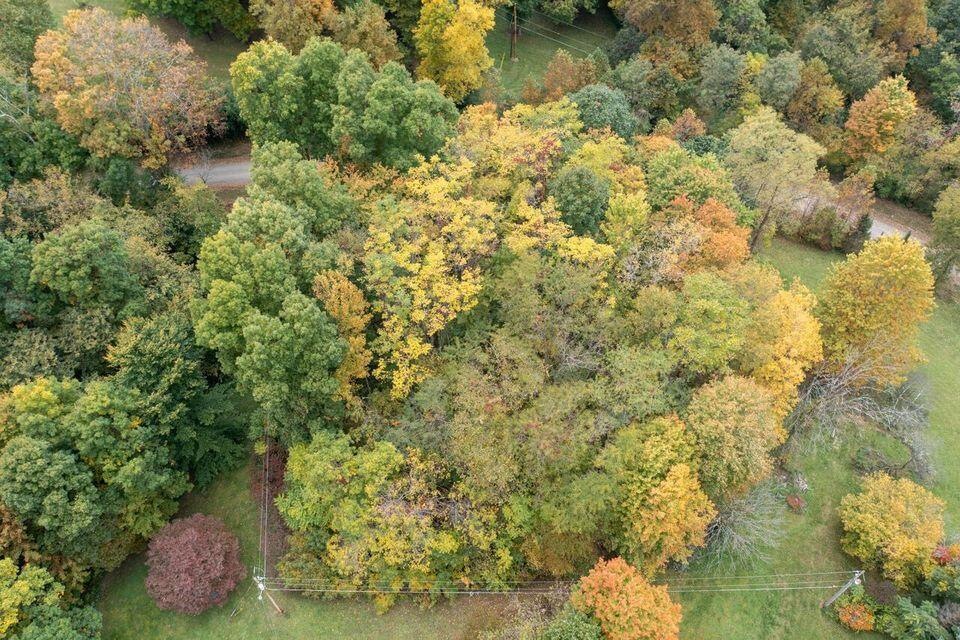 Sold $14,000 • Co-Listing Agent