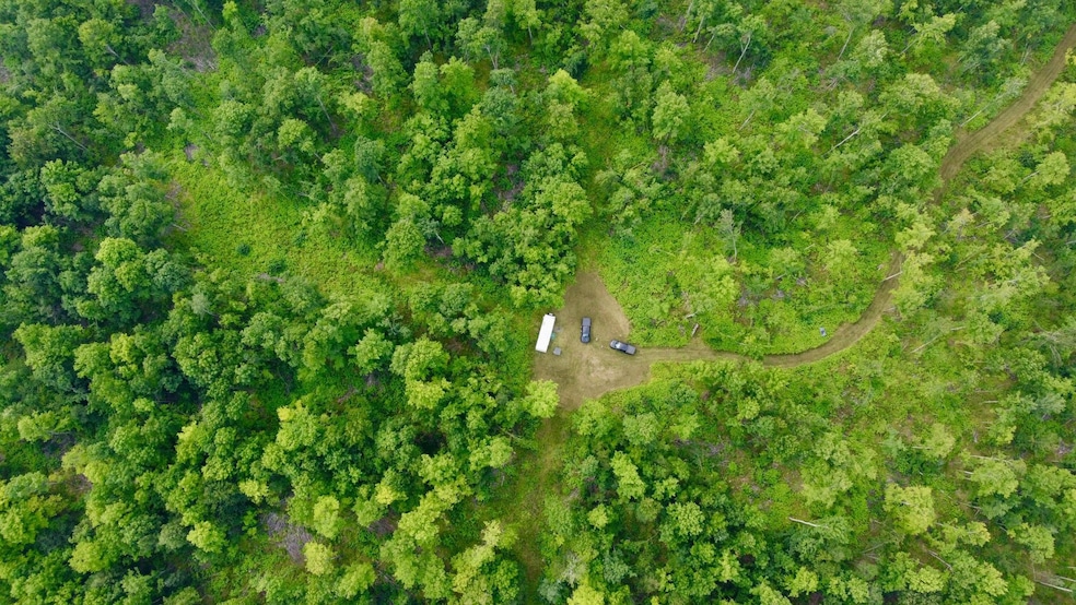 40 Acres Cth H, Gleason, WI 54435 - photo 1