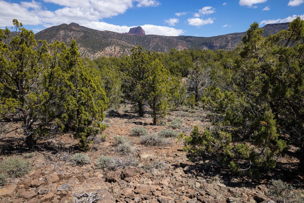 11-Eagles Way lot 274