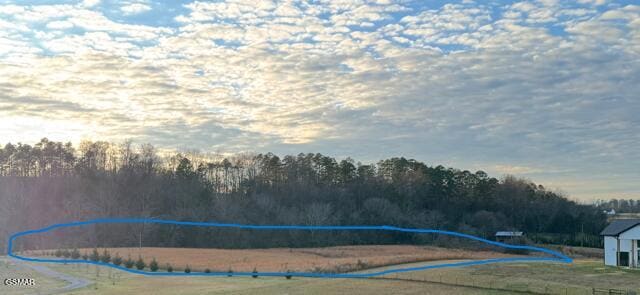 194 County Line Rd, Dandridge, TN 37725 - photo 1