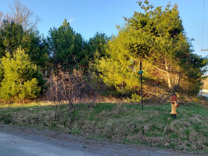 20210427_185237 (1)