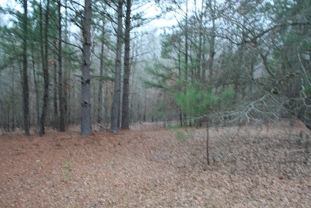 00 Highway 378, Lincolnton, GA 30817 - photo 1