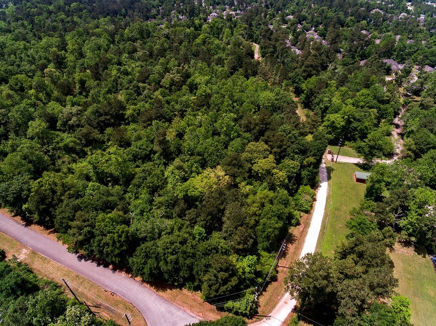 LOTS 21 & 22 Sweet Bay Cir, Magnolia, TX 77354 - photo 1