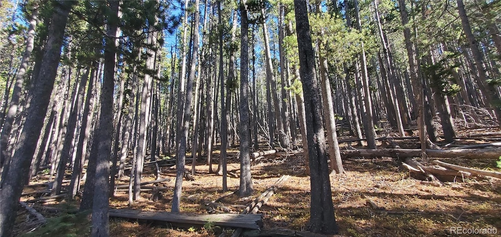 Lot 2682 & 2683 Purnell Ln unit 2682,2683, Fort Garland, CO 81133 - photo 1