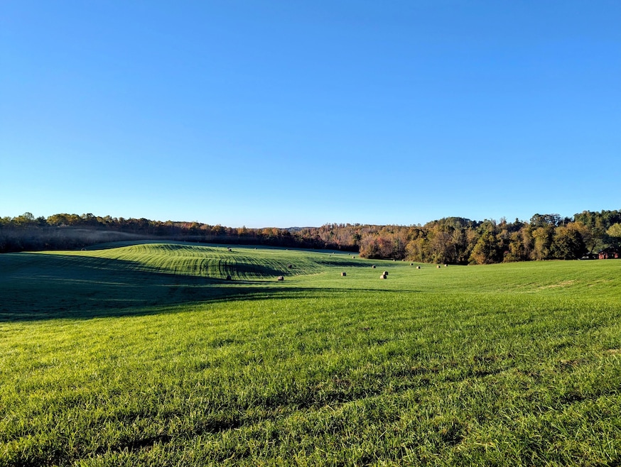 0 Daniels Run Rd, Check, VA 24072 - photo 1