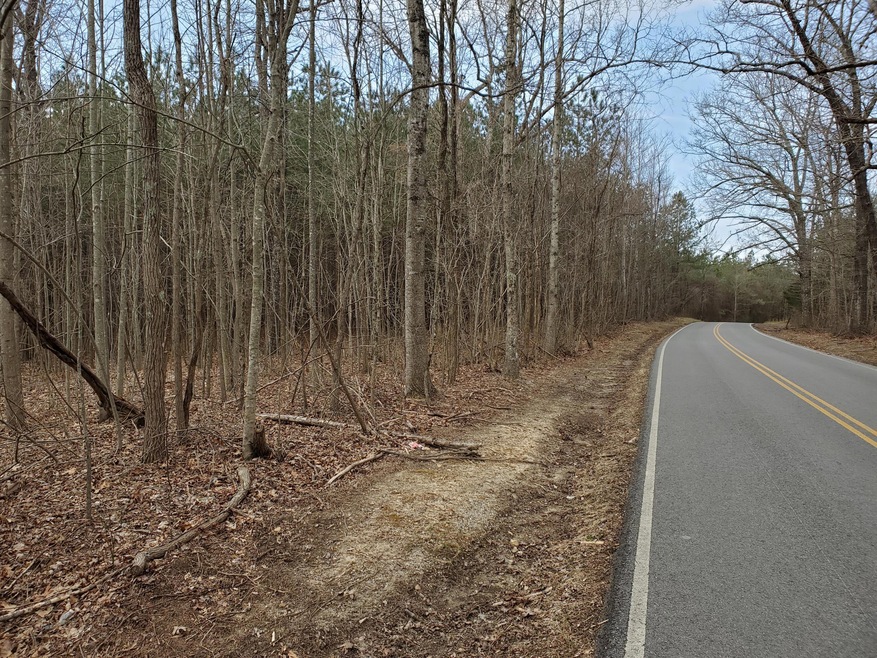 West Side of Road - Larger Parcel