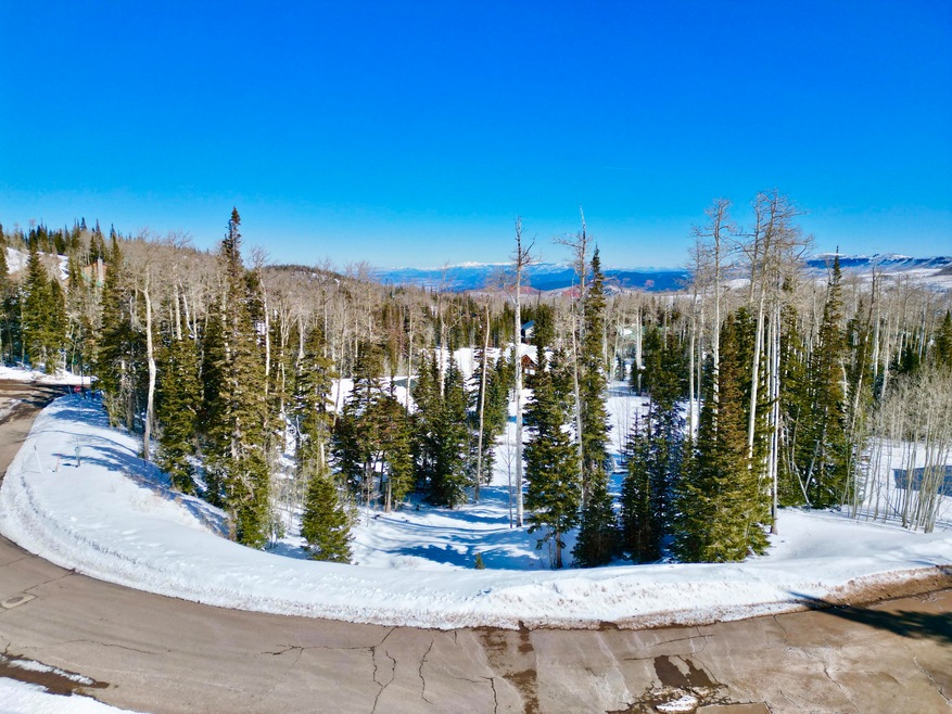 Trails 51 drone 2