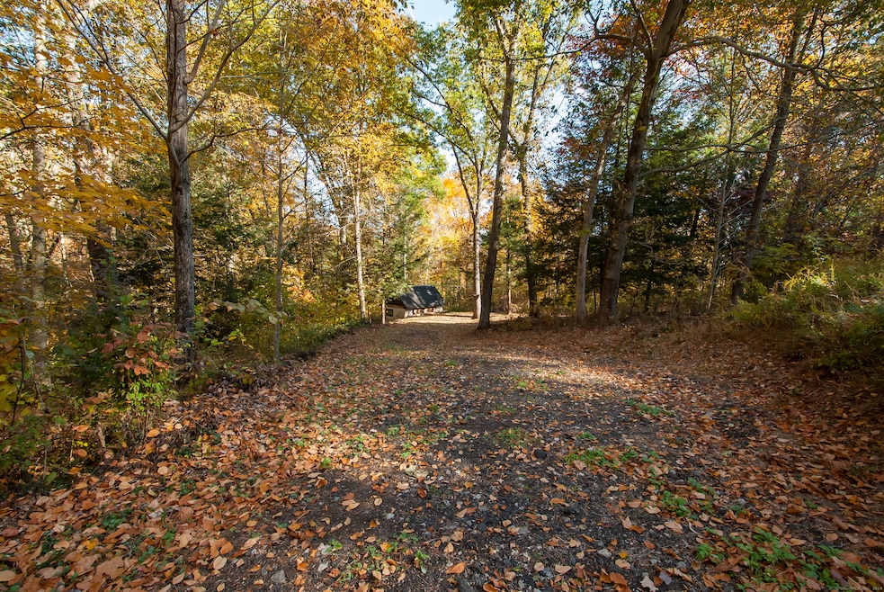 Top of driveway looking into the lot