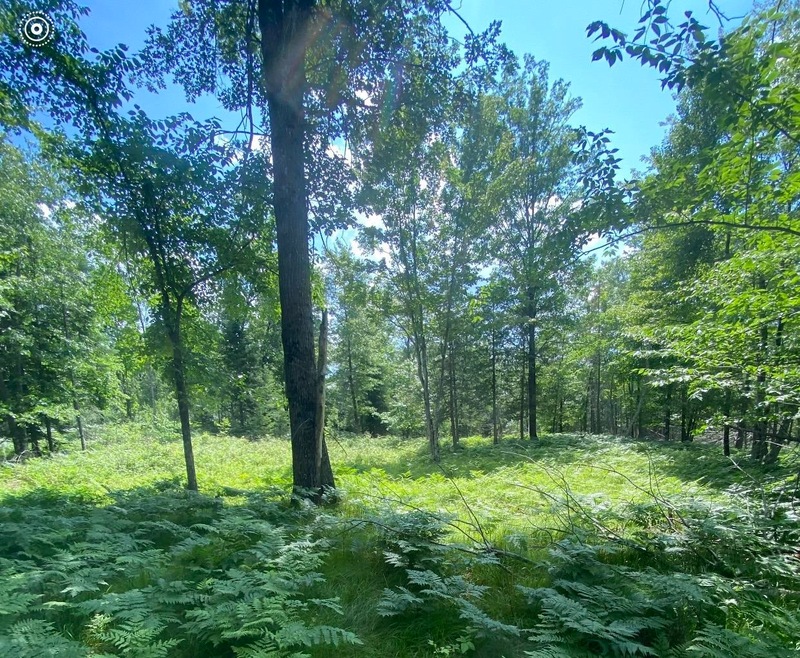 N4052 S 1 Dr, Menominee Township, MI 49893 - photo 1