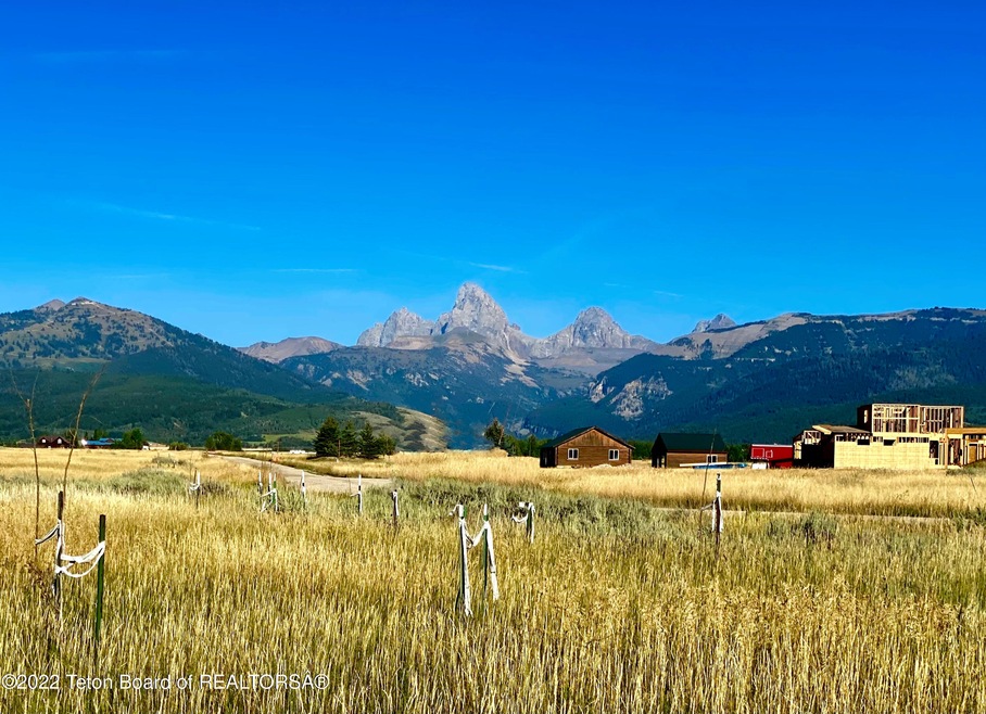 Teton Views